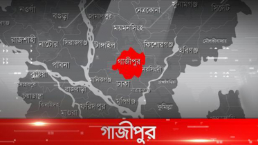 মৌচাকে স্ত্রীকে গলাকেটে হত্যা, স্বামী পলাতক