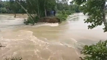 ফেনীতে বাঁধ ভেঙে প্লাবন, কুমিল্লায় বন্যার আশঙ্কা