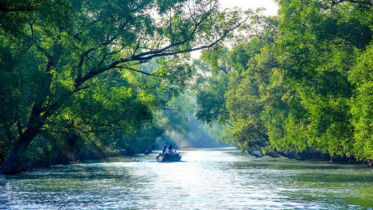 আজ উন্মুক্ত হচ্ছে সুন্দরবনের প্রবেশদ্বার