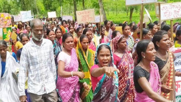 টানা ১২ দিন ধরে কর্মবিরতিতে চা শ্রমিকরা