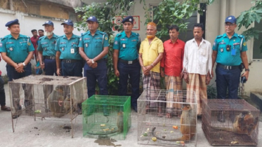 চট্টগ্রাম থেকে পাচারের সময় পাঁচটি মুখপোড়া হনুমান উদ্ধার 