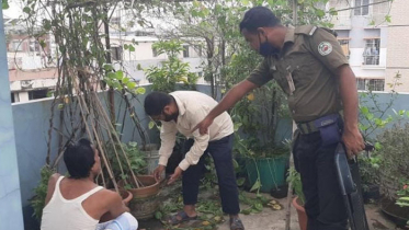 এডিসের লার্ভা পাওয়ায় ৬ ভবনকে লক্ষাধিক টাকা জরিমানা