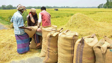 দেশে খাদ্য মজুত ১৬ লাখ ৭০ হাজার টন