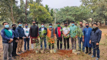 জাবি প্রেসক্লাবের দশক পূর্তিতে বৃক্ষরোপণ