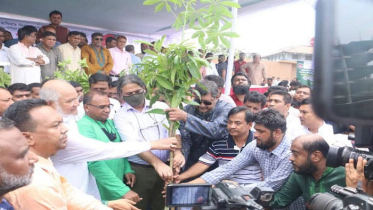 দ্বিতীয় ধাপে সারাদেশে ৪,৬৬,৯০৬টি গাছ লাগিয়েছে যুবলীগ