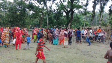 কলারোয়ায় গাছ চাপায় কাঠ ব্যবসায়ীর মৃত্যু