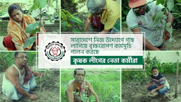 দেশব্যাপী কৃষক লীগের বৃক্ষরোপণ অভিযান