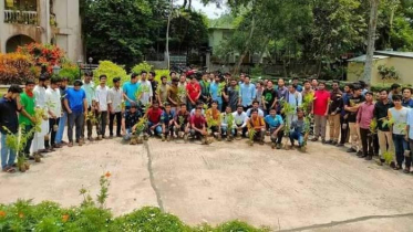 কুবিতে ছাত্রলীগের উদ্যোগে বৃক্ষরোপণ কর্মসূচি 