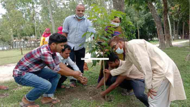 নাগেশ্বরীতে বৃক্ষরোপন কর্মসূচি পালিত