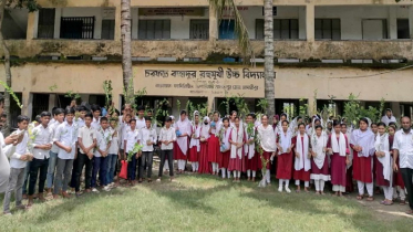 কালকিনির স্কুলে স্কুলে বৃক্ষ রোপণ কর্মসূচি পালন 