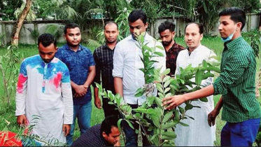 শেখ কামালের জন্মদিনে মঠবাড়িয়া ছাত্রলীগের উদ্যোগে বৃক্ষরোপন