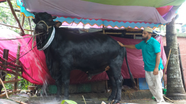 ঈদে সাড়া ফেলতে আসছে ‘নবাবগঞ্জের নবাব’!