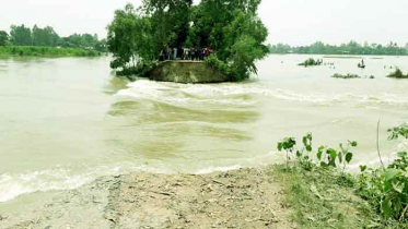 নওগাঁয় দ্বিতীয় দফা বন্যায় লোকালয় প্লাবিত, দুর্ভোগ চরমে