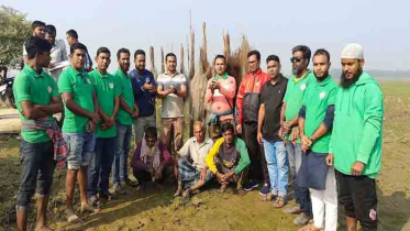 নাটোরের চলনবিলে পাখি শিকারির আর্থিক জরিমানা