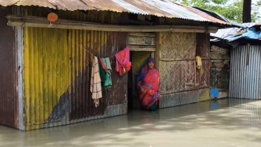 জোয়ারের পানিতে নিঝুম দ্বীপের নিম্নাঞ্চল প্লাবিত 