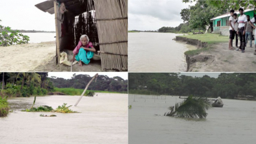 মধুমতির ভাঙনে দিশেহারা নড়াইলের ৪ গ্রামের মানুষ