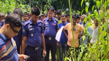 পাবনায় পাটক্ষেত থেকে একব্যক্তির মরদেহ উদ্ধার 