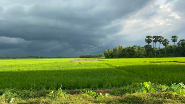 বিদায় বর্ষাকাল