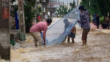 অন্ধ্রপ্রদেশে অতিবৃষ্টিতে ১৭ জন নিহত