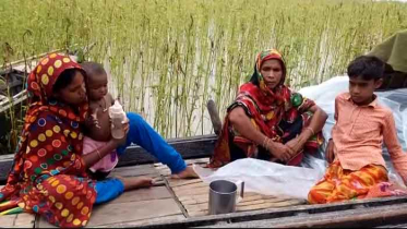 পদ্মার পানিতে রাজবাড়ীর নিন্মাঞ্চল প্লাবিত, নৌকায় একমাত্র ভরসা