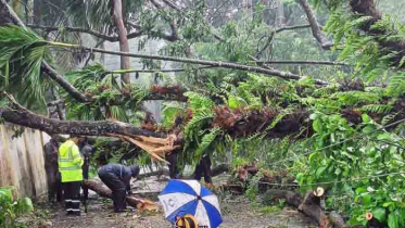 ঘূর্ণিঝড় রিমালের তাণ্ডবে সারা দেশে ২১ জনের মৃত্যু