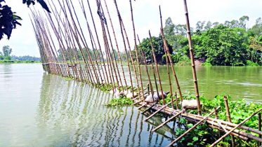 সিংড়ায় আত্রাই নদীতে অবৈধ জাল বসানোর অভিযোগে গ্রেফতার ২ 