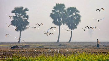 তাপমাত্রা কমার আভাস