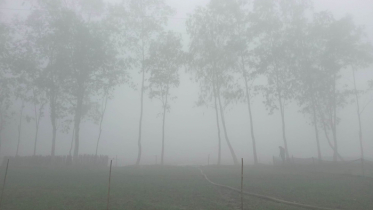 মৃদু শৈত্যপ্রবাহ অব্যাহত থাকতে পারে 