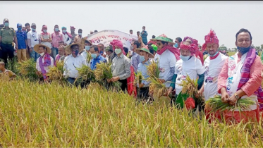 ‘চলতি মাসেই সুনামগঞ্জের হাওরগুলোর ধান কাটা শেষ হবে’