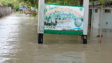 মোংলায় পানিবন্দী ৮শ পরিবার, তলিয়েছে দুলবার চর ও করমজল