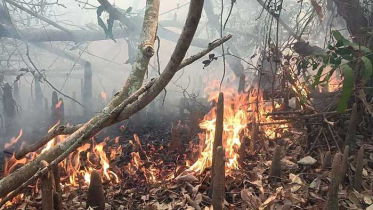 সুন্দরবনে আবারও আগুন