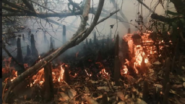 সুন্দরবনে আগুন নিয়ন্ত্রণে ফায়ার সার্ভিসের ২ ইউনিট 