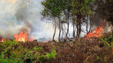 সুন্দরবনে এখনও জ্বলছে আগুন