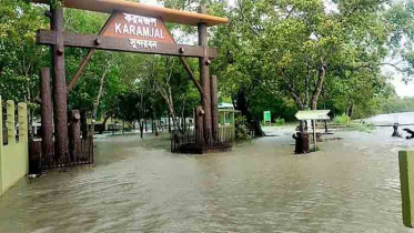 জলোচ্ছ্বাসে তলিয়ে গেছে সুন্দরবন