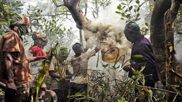 সুন্দরবন থেকে ৫ মৌয়াল আটক 