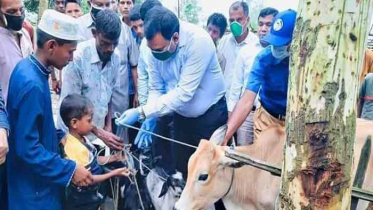 সড়ক দুর্ঘটনায় মা-কে হারানো সেই শিশুর পাশে জেলা প্রশাসক