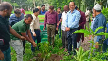 কারমাইকেল কলেজে নানা প্রজাতির ৫০০ গাছ রোপণ