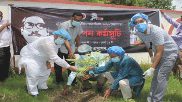 মুজিববর্ষ উপলক্ষে পাবনা জেলা প্রশাসনের বৃক্ষরোপন কর্মসূচি