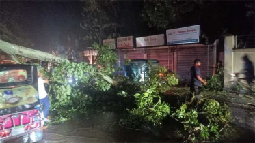 কক্সবাজার অতিক্রম করছে ঘূর্ণিঝড় ‘হামুন’, লণ্ডভণ্ড উপকূলীয় এলাকা