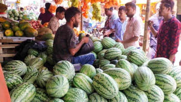 ধরা ছোঁয়ার বাইরে মোংলার ‘তরমুজ সিন্ডিকেট’