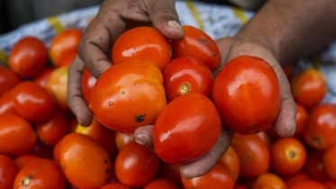 ফেল করায় স্কুল ছেড়ে চাষাবাদ, কোটিপতি কৃষক