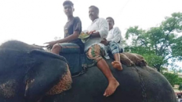 হাতির পিঠে করে নবজাতককে বাড়ি নিয়ে গেলেন দাদা